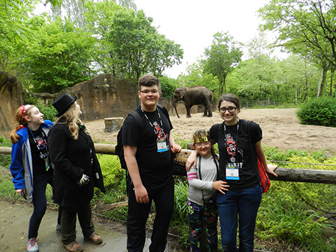 Elephants!